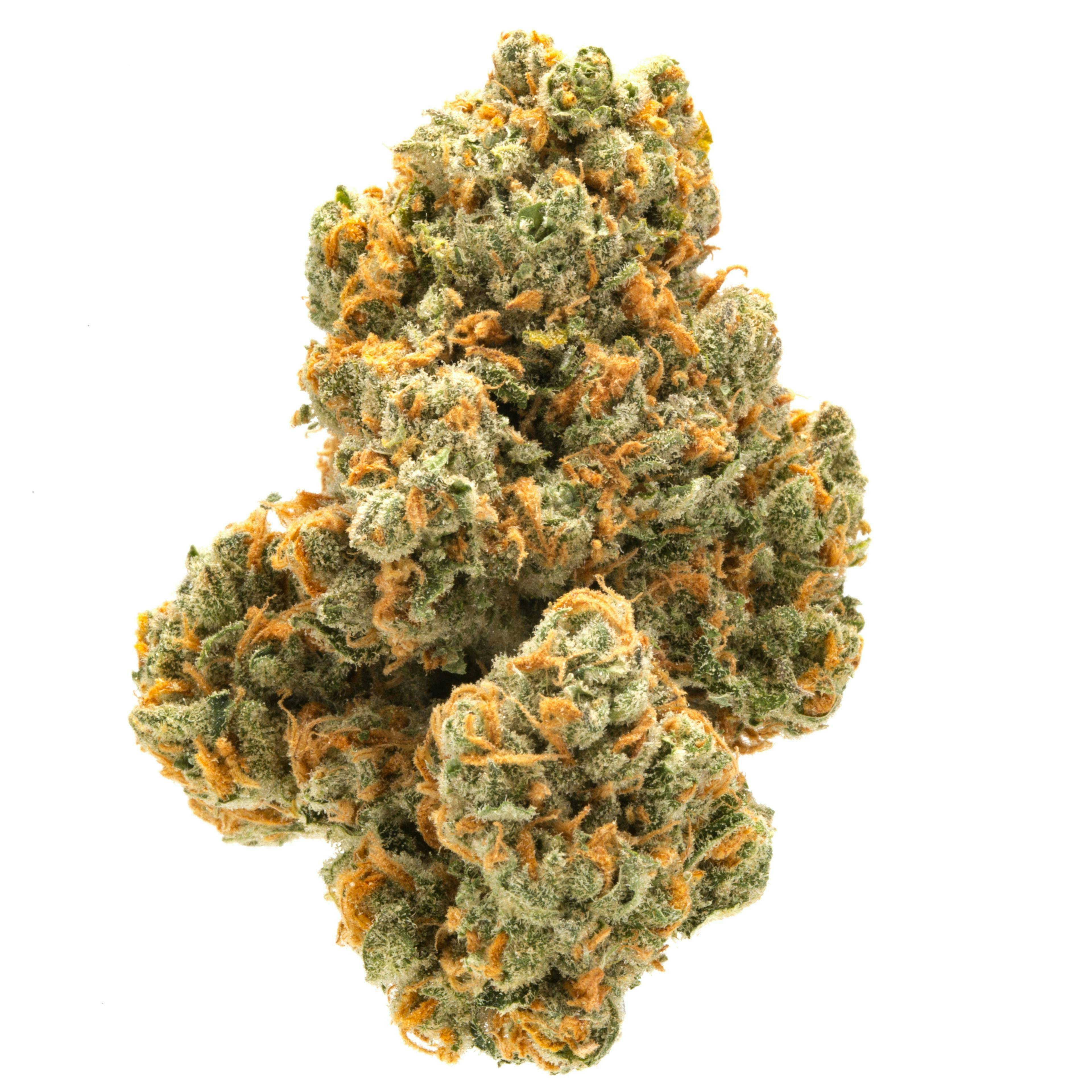 Product: ALL STAR | GREEN CRACK | BULK | SATIVA