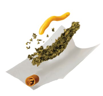 Light Sky Farms | Sunkizt #17 x Frost D Live Rosin Donut | 2.5g