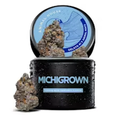 Michigrown - 14g Prepack Jar - Animal House