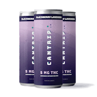 Product Blackberry Lavender Seltzer 4-pack