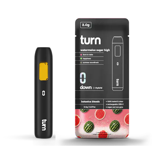 Watermelon Sugar High | Disposable | 2g-active