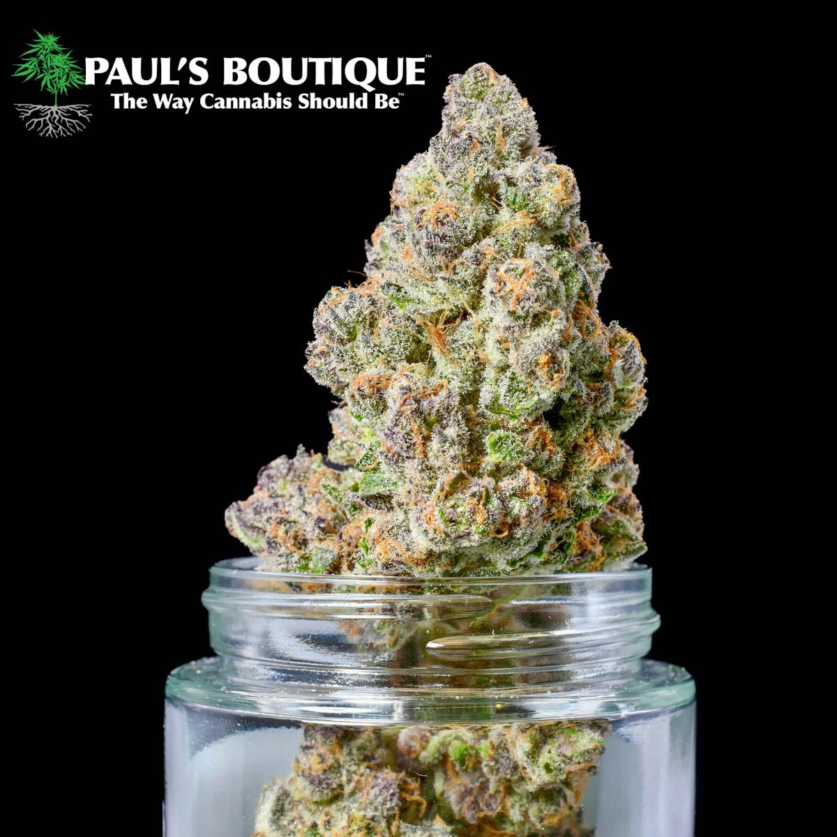 Image of Zangria Cryo Kush