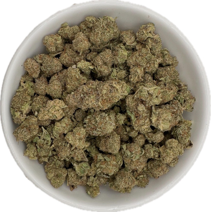 Bowdega | Jello Gelato
