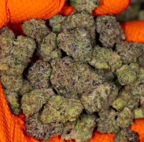 Product FA Flora Flower - Pacific Pie 3.5g