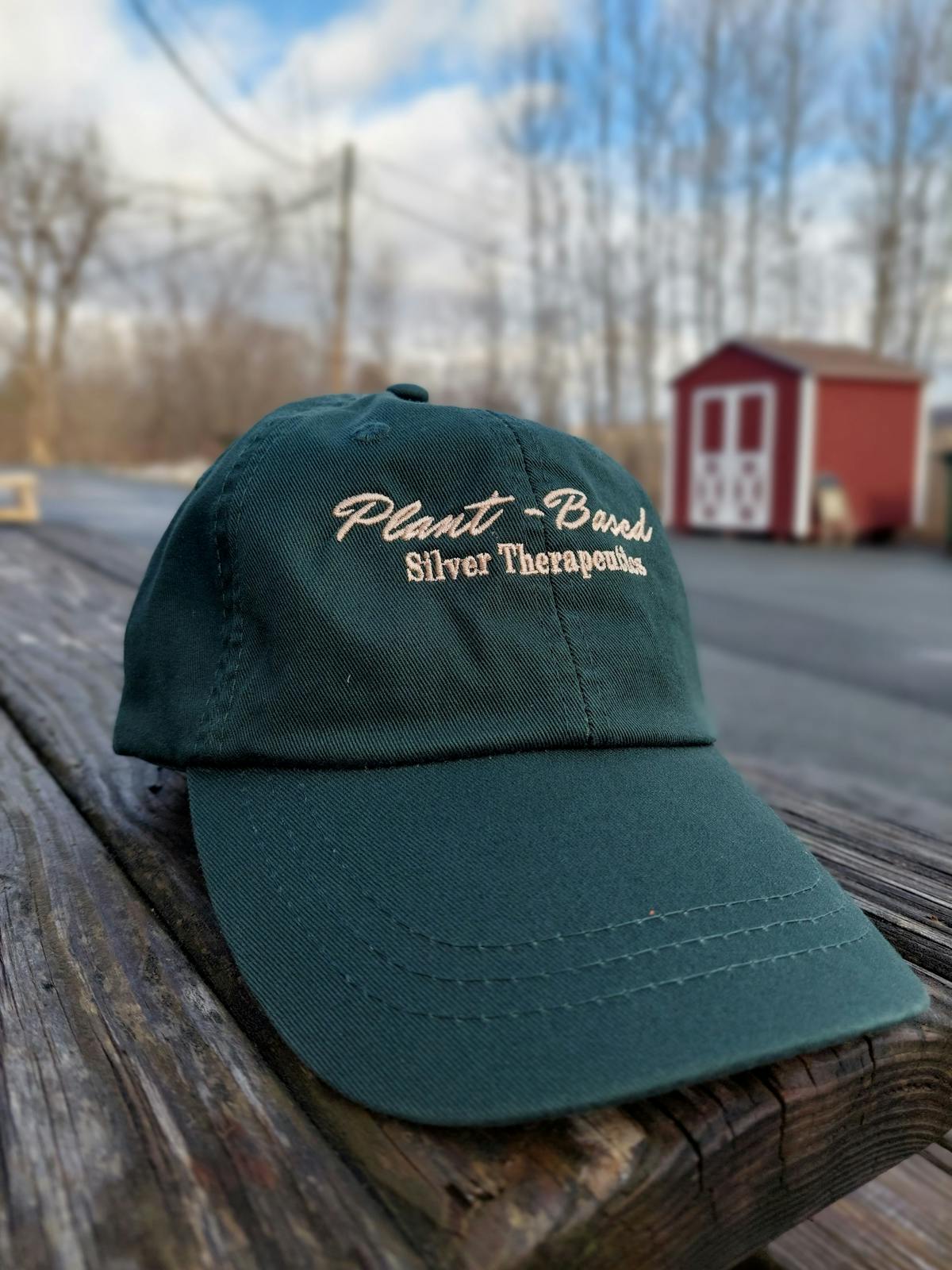 Image of Plant Based | Dad Hat
