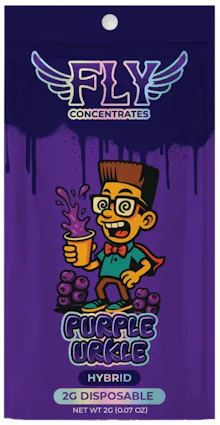 Fly - 2g Disposable - Purple Urkle
