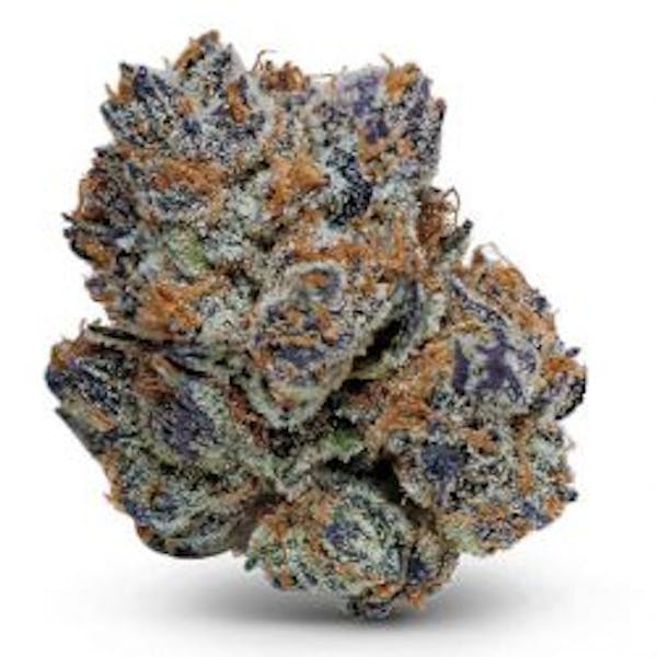 Black Raspberry (IH) | 3.5g | Flower | 27.12% | Trp: 1.56%