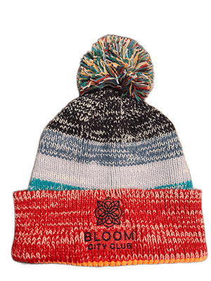 Product: Colorful Beanie | Bloom City Club