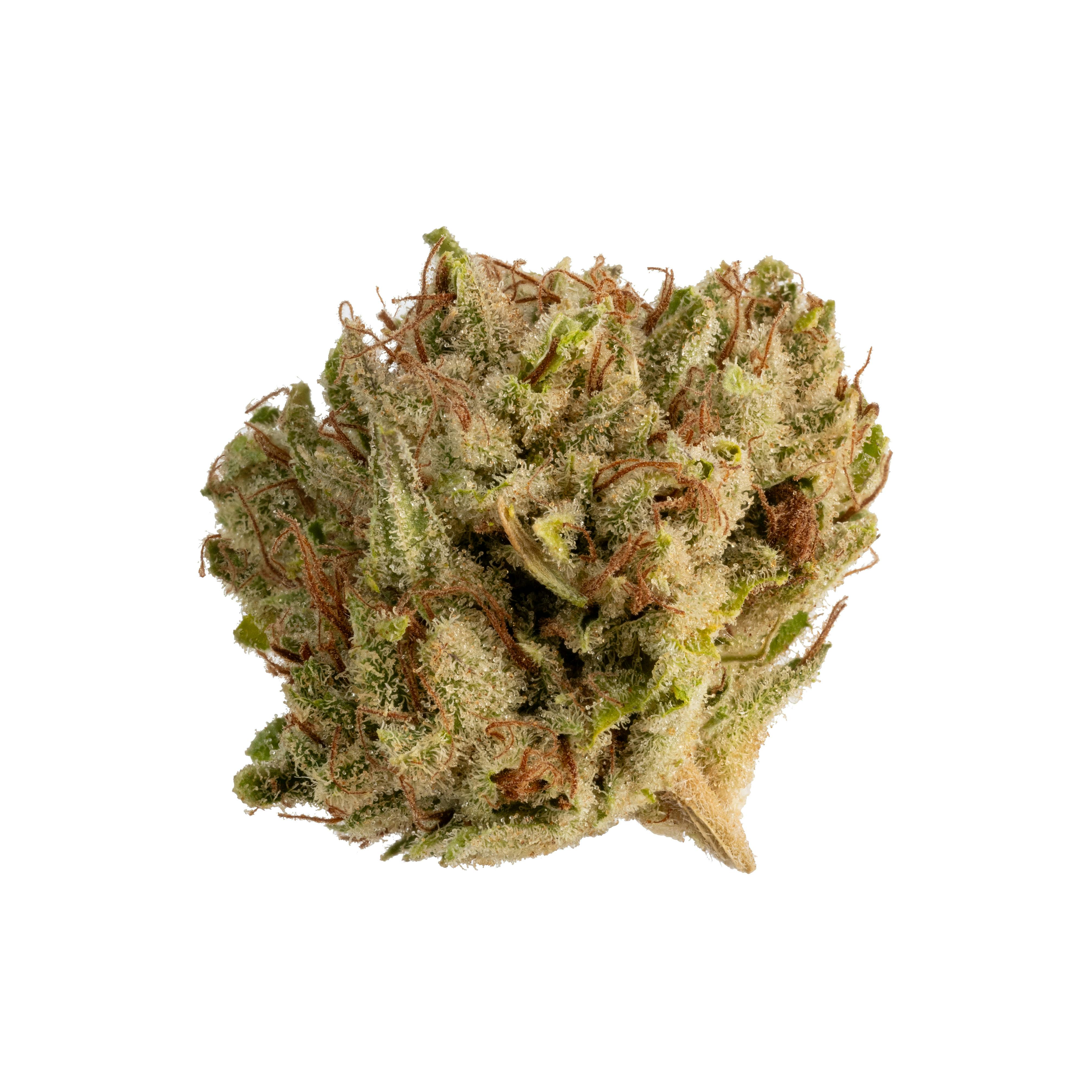 Photo of GG4 3.5g