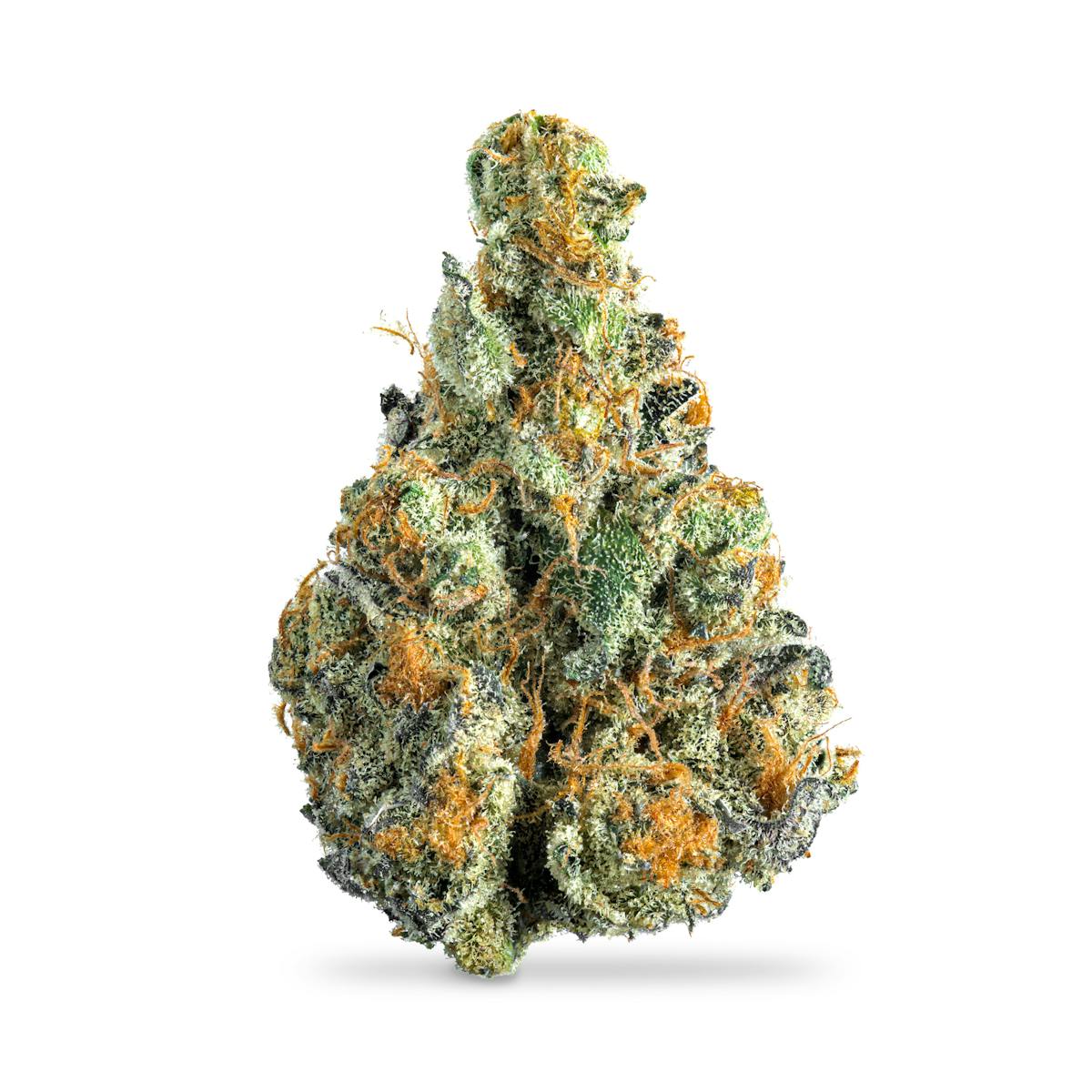 Photo of Tangeray B Buds