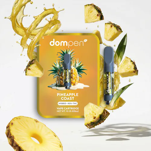 Pineapple Coast Cartridge (1g)-active