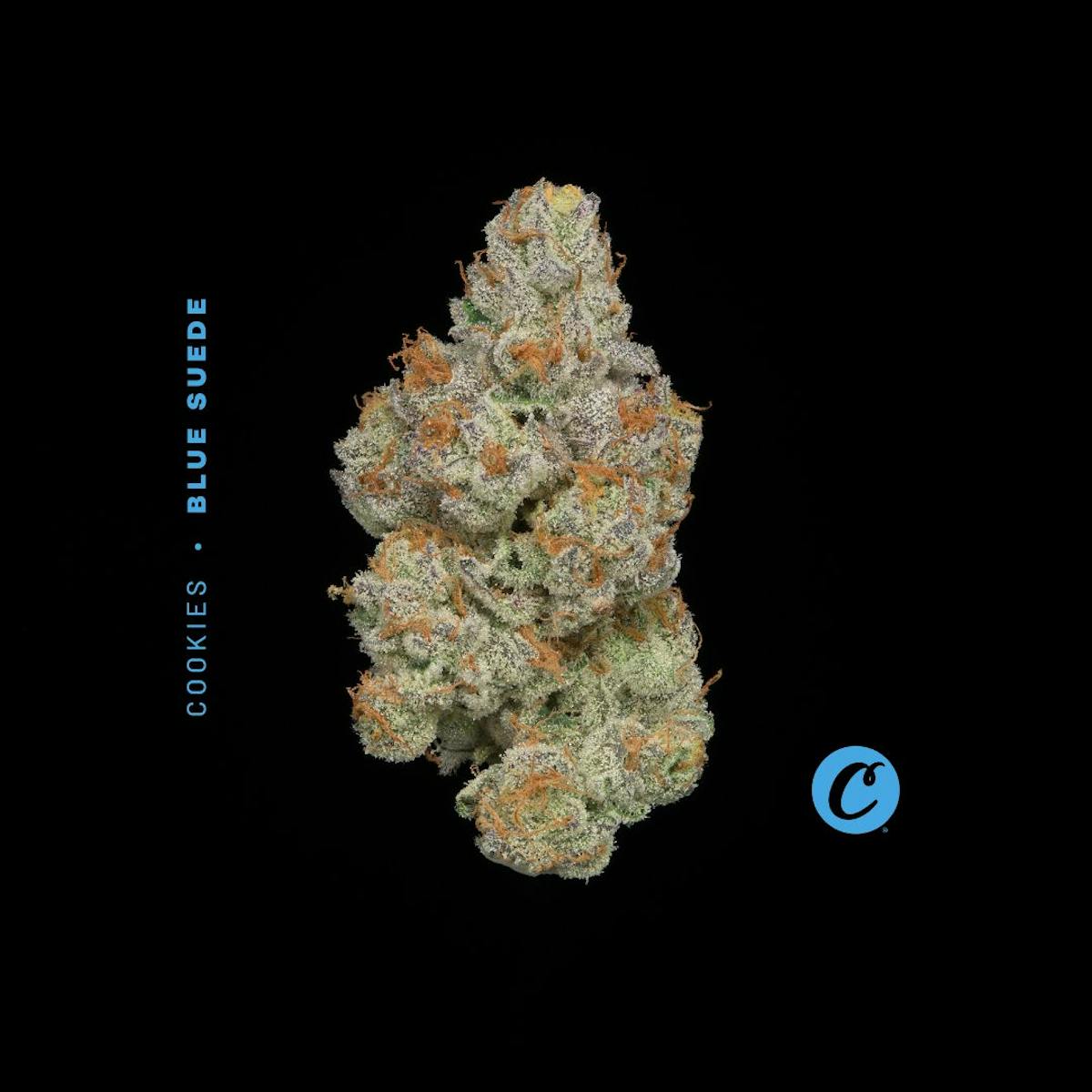 Photo of | Blue Suede |