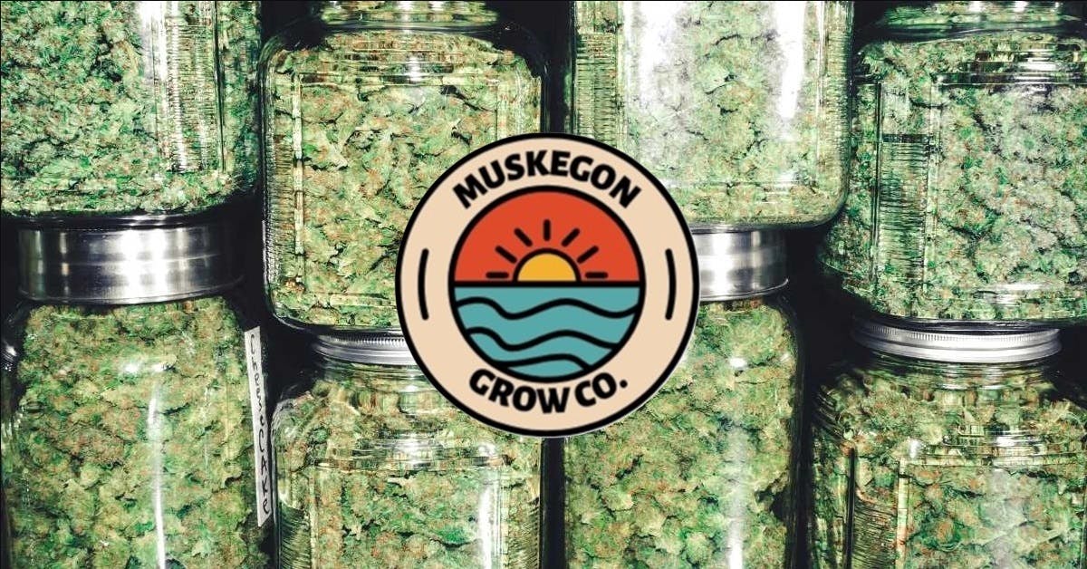 Muskegon Grow Co. | Orange Push Pop #7 "littles" | Bulk Flower