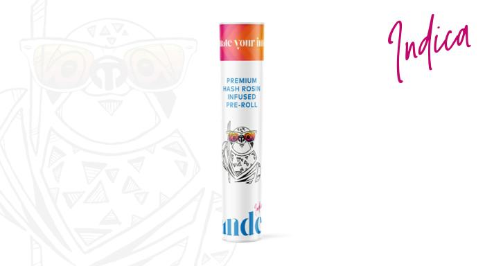 Candela | Golden Runtz Rosin Infused Pre-Roll | 1.25g | Pre Rolls | New ...