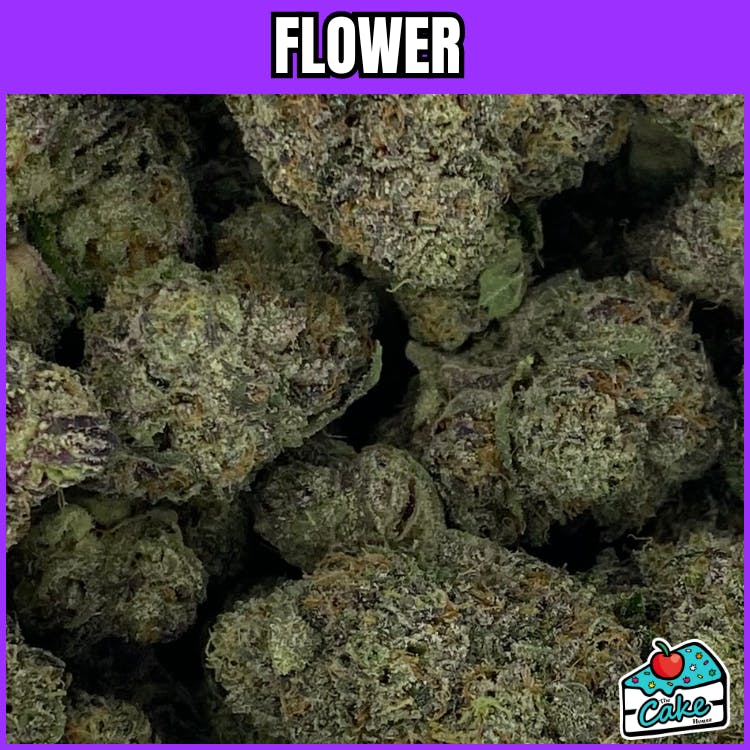 Hytek - Flower - Lantz
