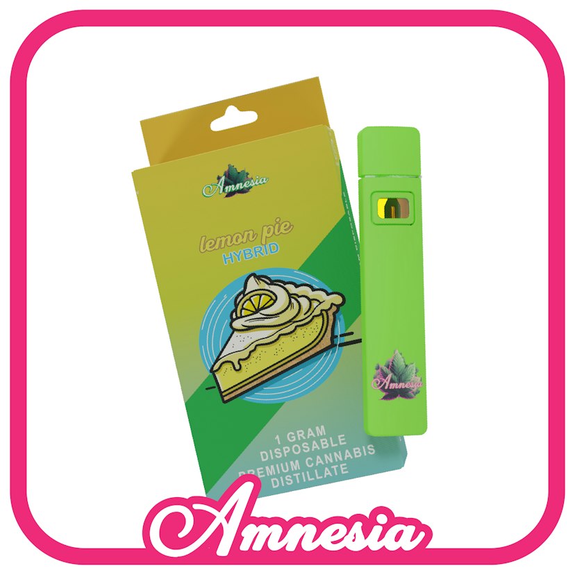 Amnesia Disposable | Lemon Pie