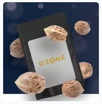 Product Ozone | Cinnamon Buddha | Feminized Seeds | 5 pack