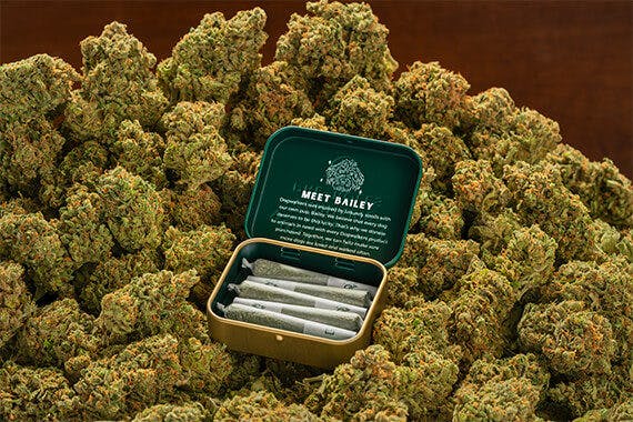 image of Brownie Scout | .35g 12pk