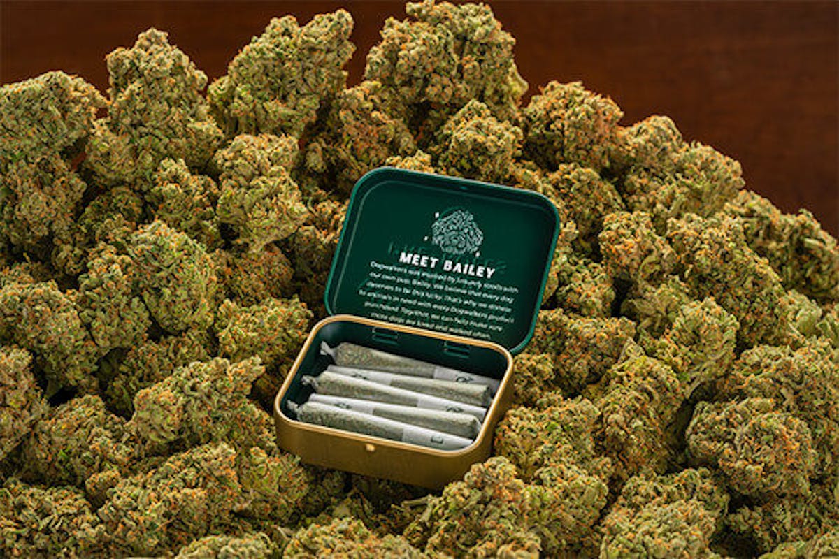 Image of Durban Zkittlez | 12pk Preroll