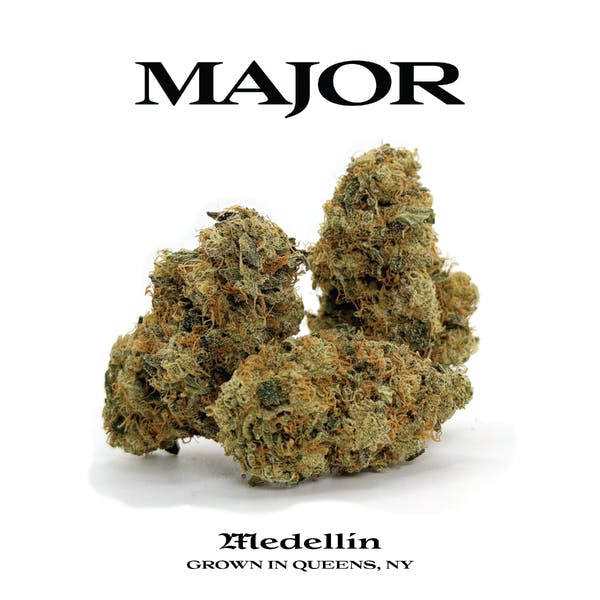Medellin | Flower | 3.5g by Major | Buy Online | Treehouse