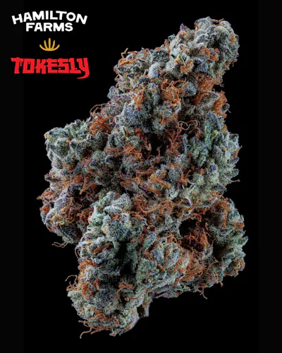 Hamilton Farms x Tokesly | Pre-Roll Pack | Dantes Garden | 2pk/1g-2