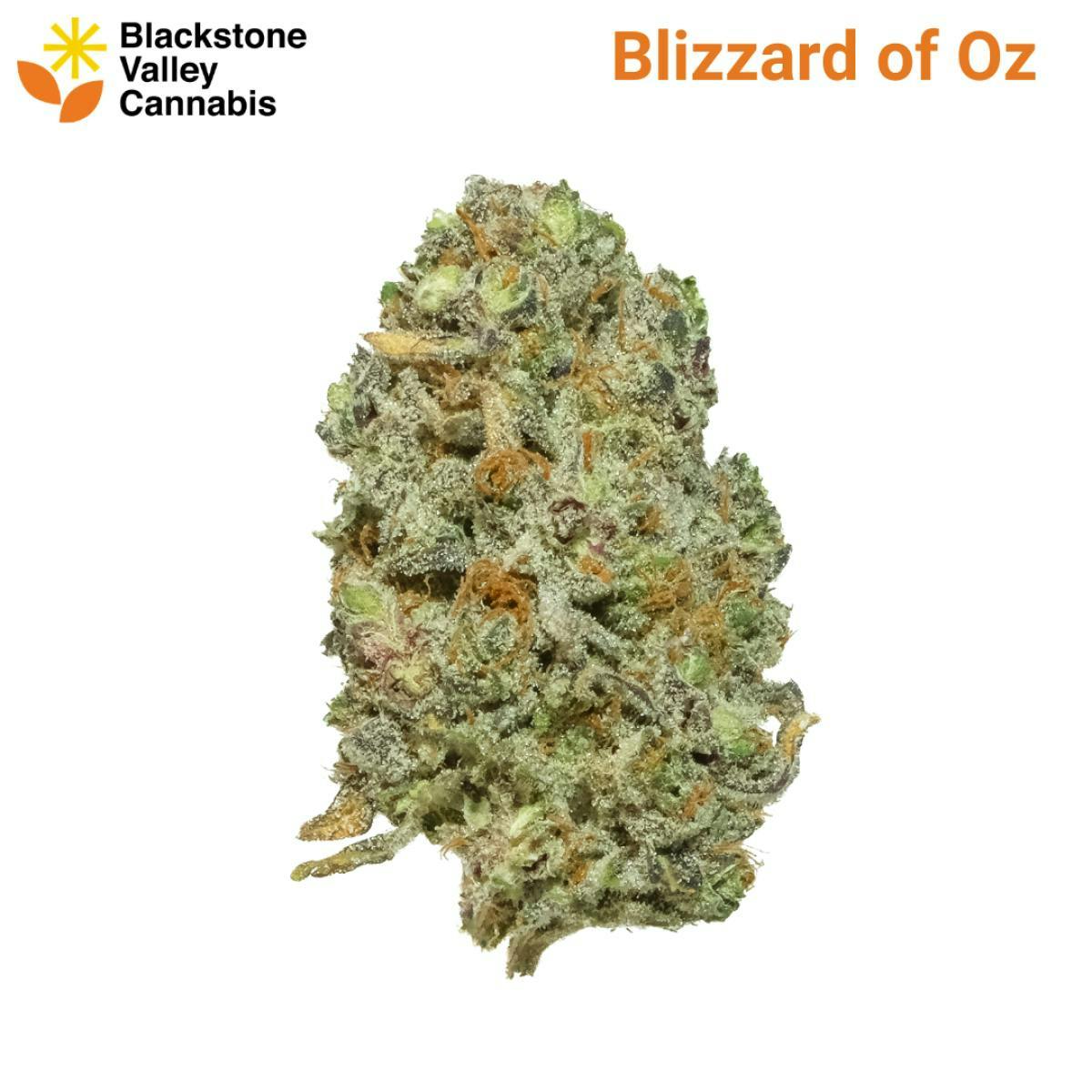 Product Blizzard of Oz - Flower