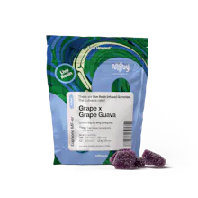 MFNY - 100mg Live Resin Gummies - Grape x Grape Guava - EDIBLES by MFNY at King of Budz
