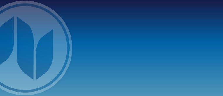 Northern Tokes Logo Banner