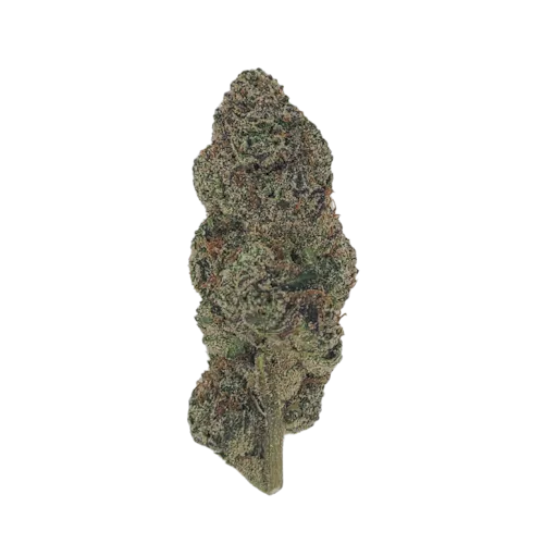 TruSmoke | Blue Zushie-1