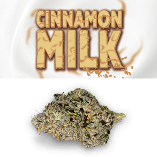 Cinnamon Milk-active
