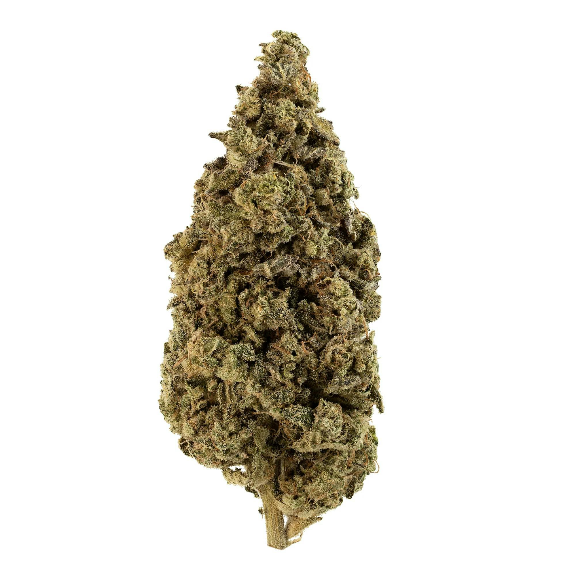 Product: CRAFT HYDROPONIC | FIRST CLASS FUNK | PRE-PACK INDICA