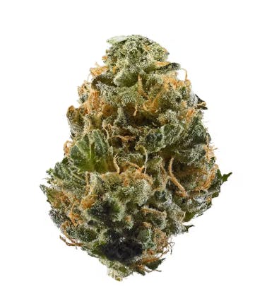 Pioneer Plant-Tech Marathon OG Flower Jar 2g