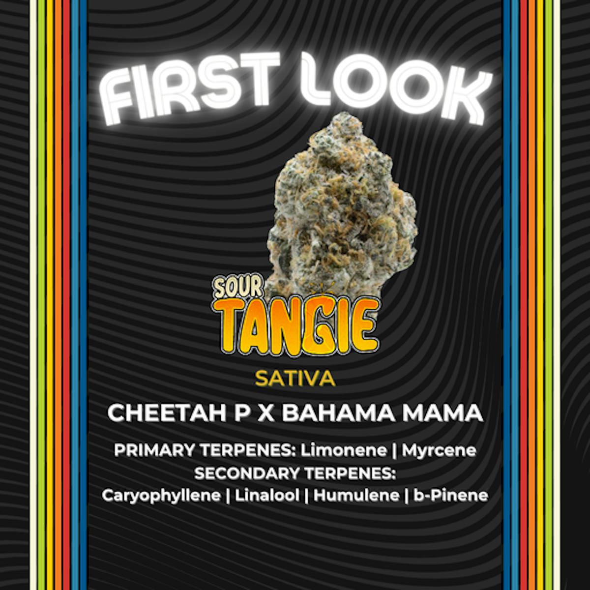 Photo of Sour Tangie