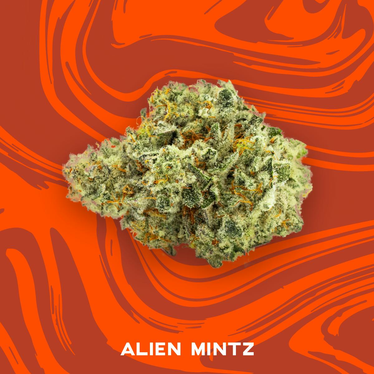 Vivid Alien Mints - Pre Pack for Sale Missouri - ReLeaf Resources