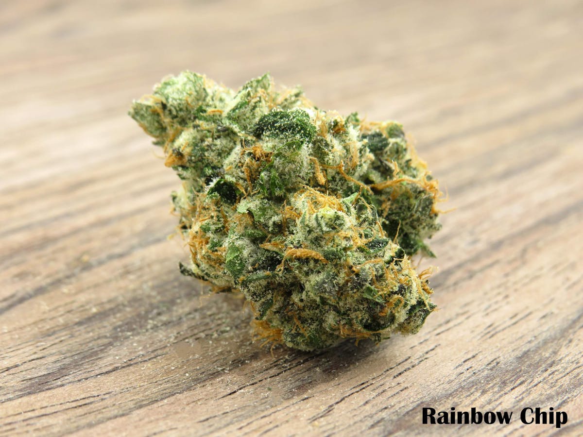 Photo of Rainbow Chip