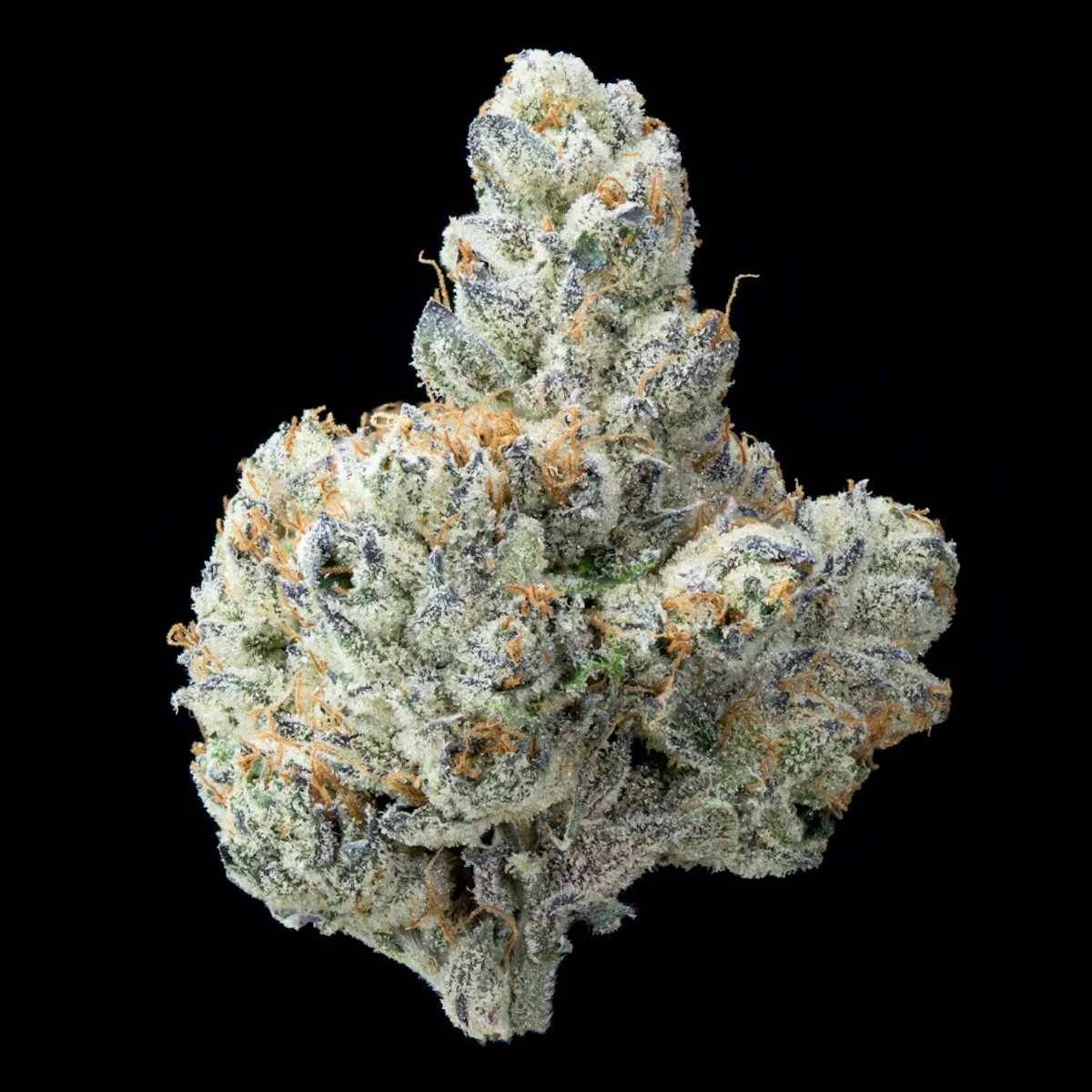 Bountiful Farms Zeclair – Small Buds 14g 1/2oz Flower | Bountiful Farms