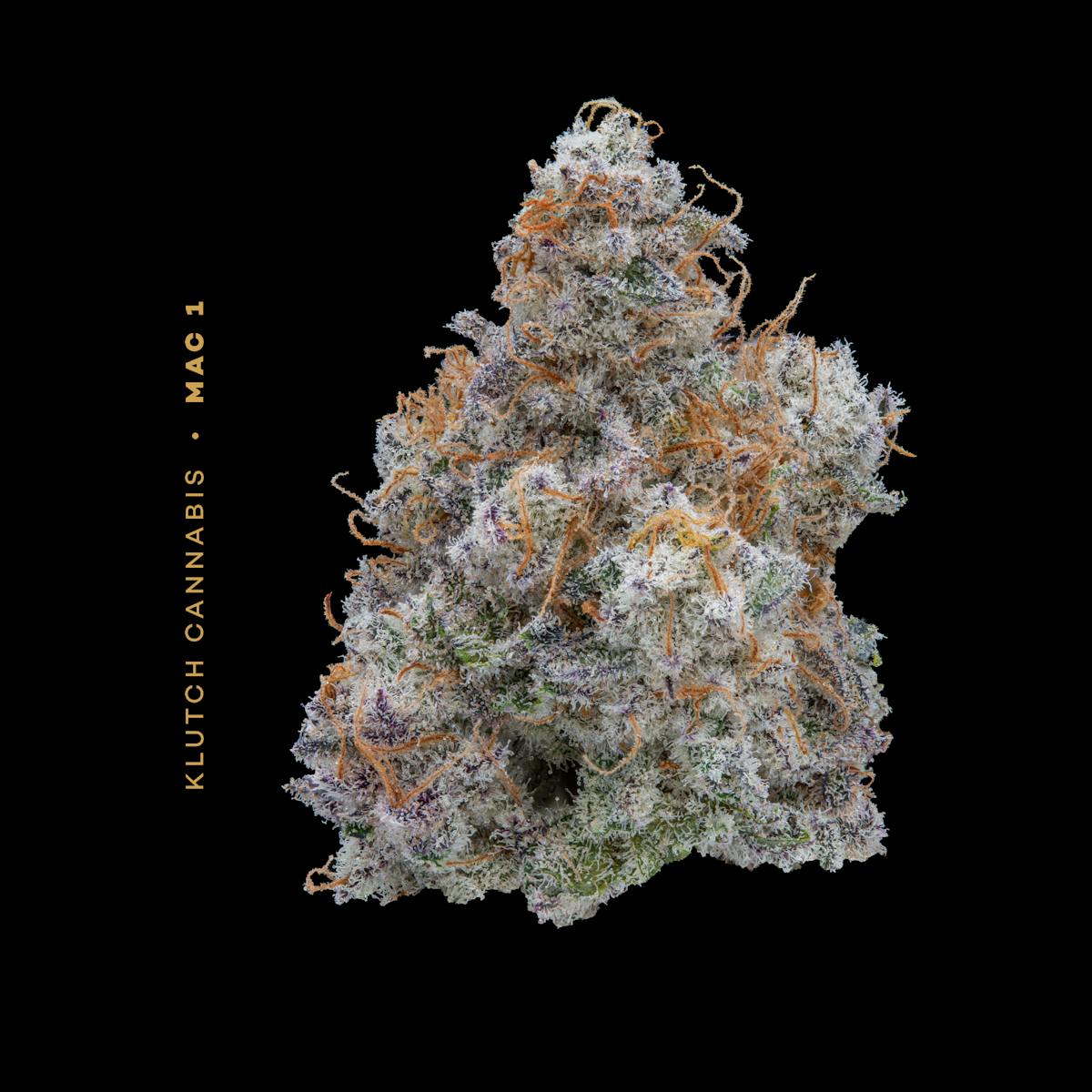 Photo of | MAC 1 |