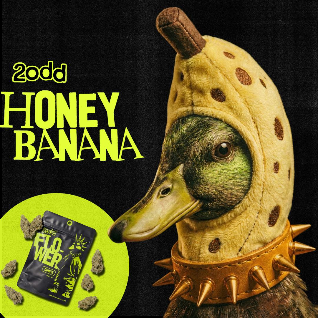 2 ODD - 3.5g Prepack - Honey Banana