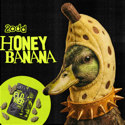 2 ODD - 3.5g Prepack - Honey Banana - FLOWER by 2 ODD at King of Budz