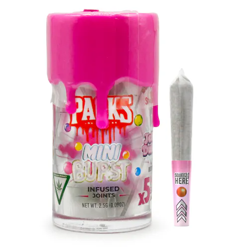 GUAVA BUBBLEGUM | Packs Mini Burst – 5 Pack Infused Mini Joints | 2.5G-1