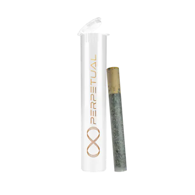 nimbus disposable vape review Buy Nimbus Cannabis Online