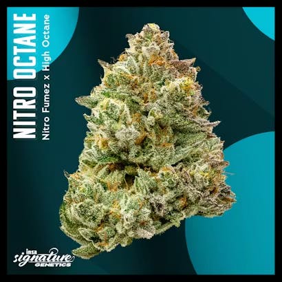 Product Nitro Octane | Flower | 28g