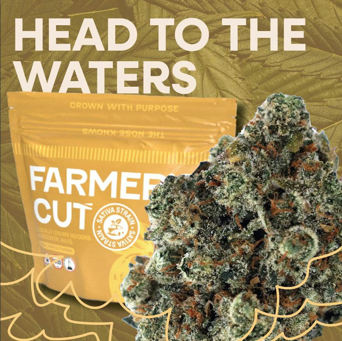 Image of Head To The Waters | 3.5g Flower