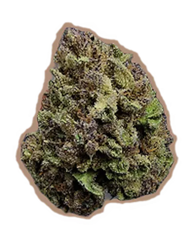 Gage Farms Blueberry Cupcake Flower 3.5g-active