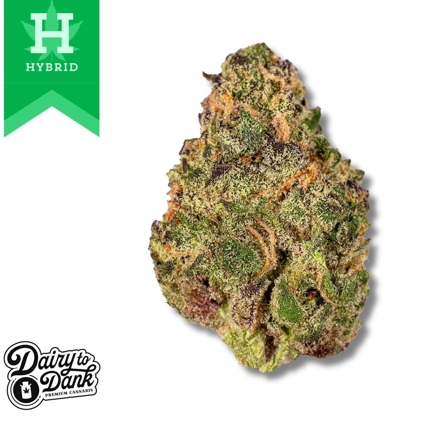 D2D | Flower | Pre-Pack 3.5g | 1pk | Gush Mints (HYB) | Bigs