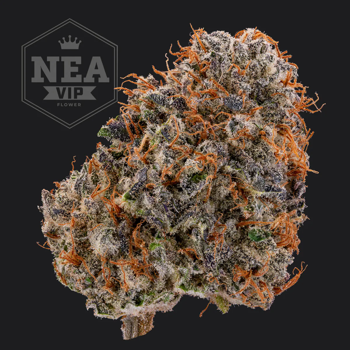 Northeast Alternatives - New Bedford - Adult Use