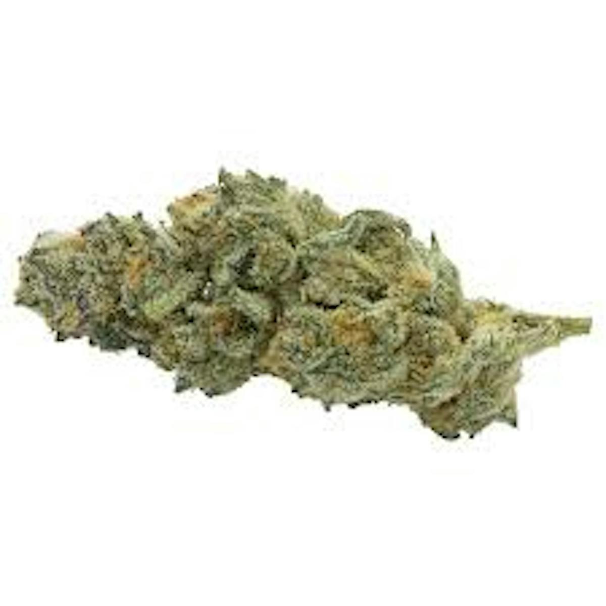 Image of Platinum Jelly | 14g