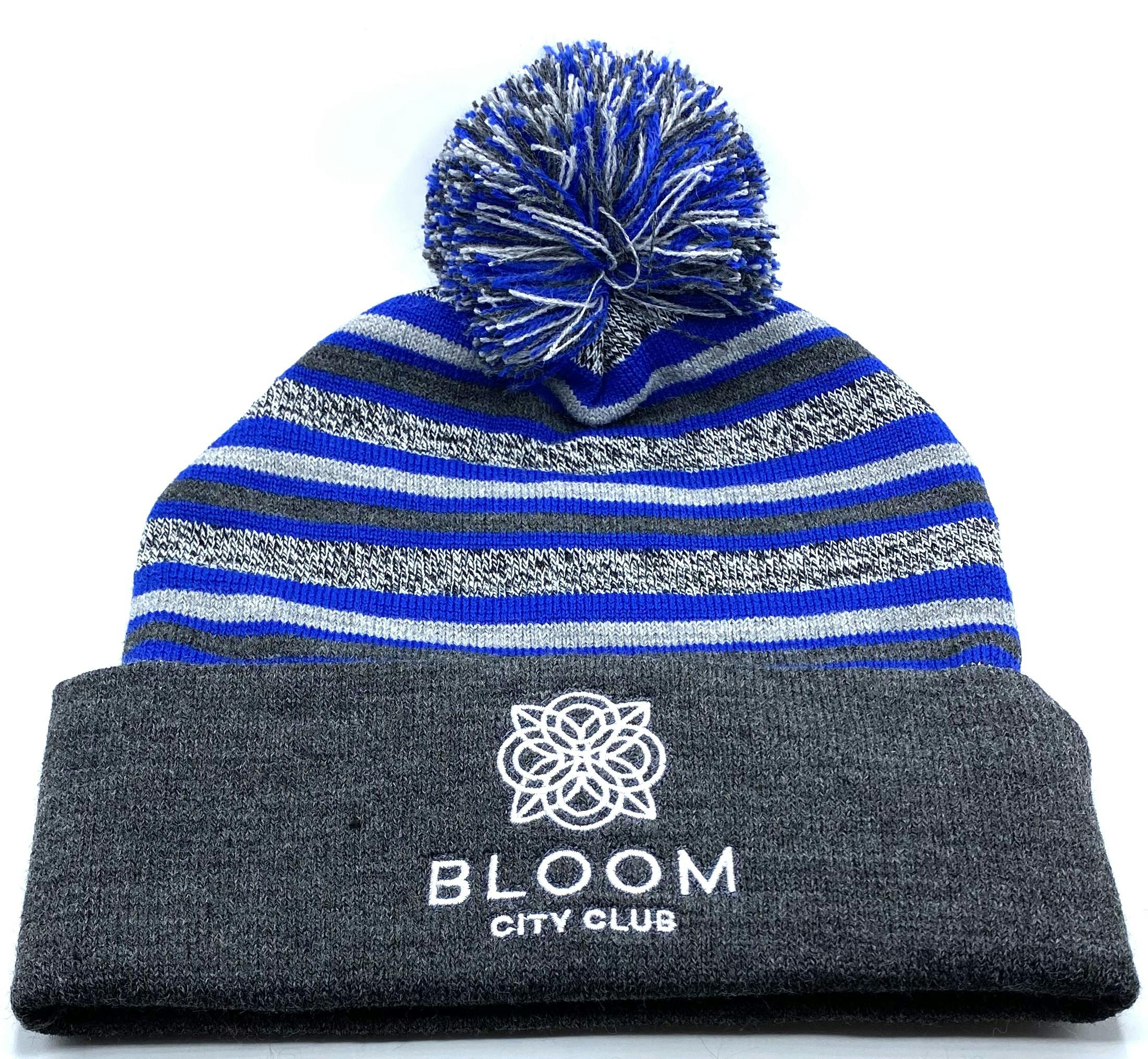 Product: Blue Striped Beanie | Bloom Brand