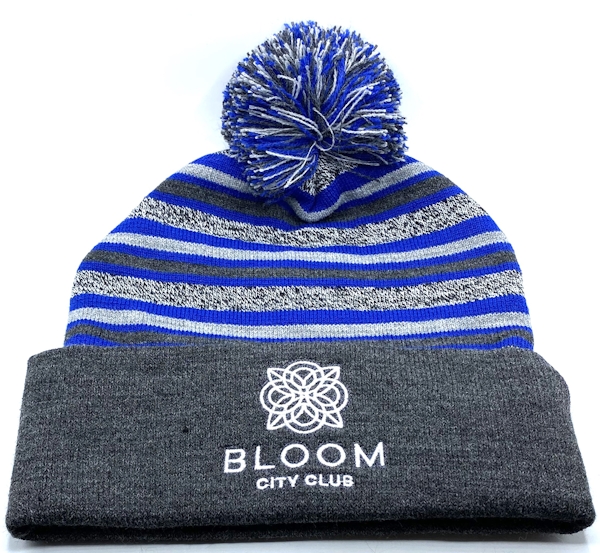 Blue Striped Beanie | Bloom Brand