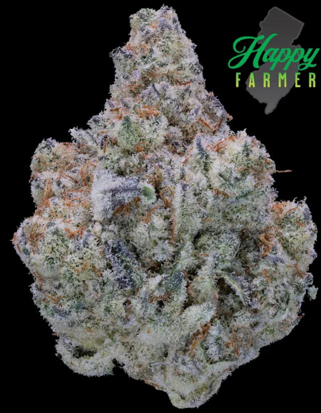 Happy Farmer Flower Grand Daddy Pluto 3.5g (hybrid, whole flower)